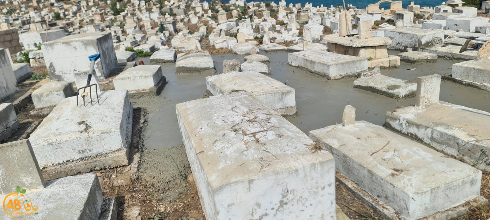 WhatsApp Image 2023-06-03 at 10.12.39 AM (1).jpeg